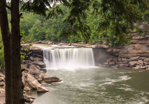 Capturing the Natural Beauty of Louisville, KY through Photography